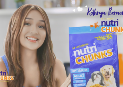 NutriChunks Kat 4